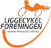 logo hpv denmark